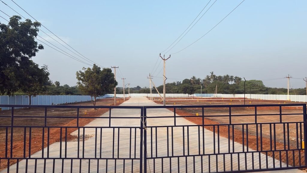 Terra40 main entrance gate with internal concrete road